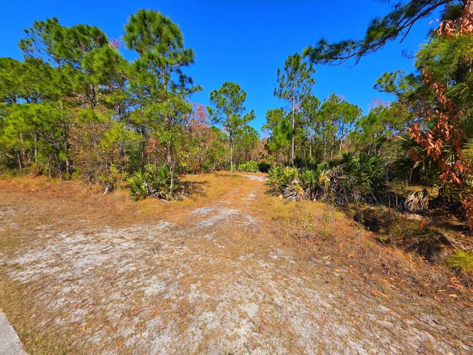 View of Property