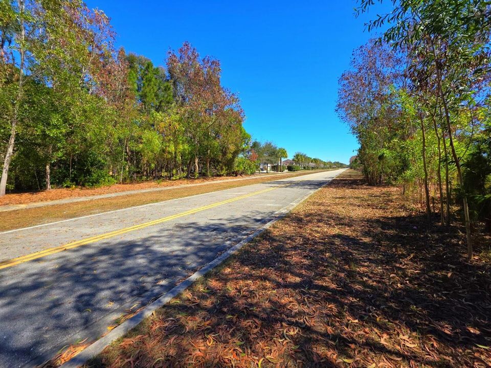 View from Easide of Property