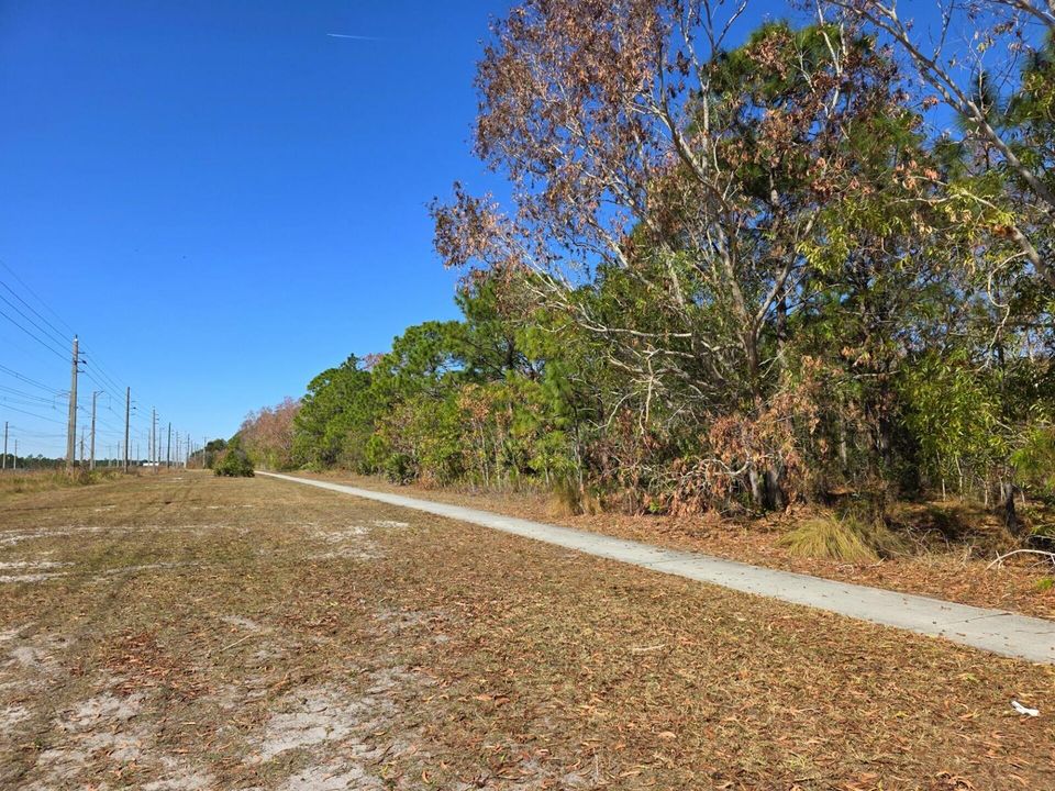 Southside of Property