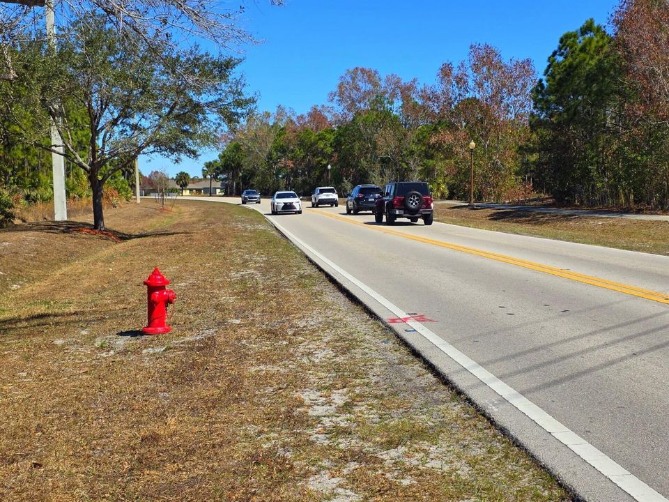 View from other side of Road