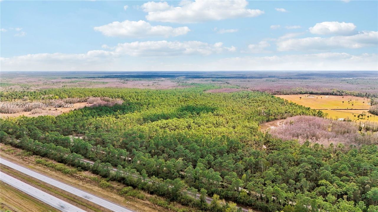 На продажу: $9,000,000 (1,004.00 acres)