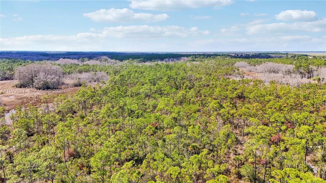 На продажу: $9,000,000 (1,004.00 acres)