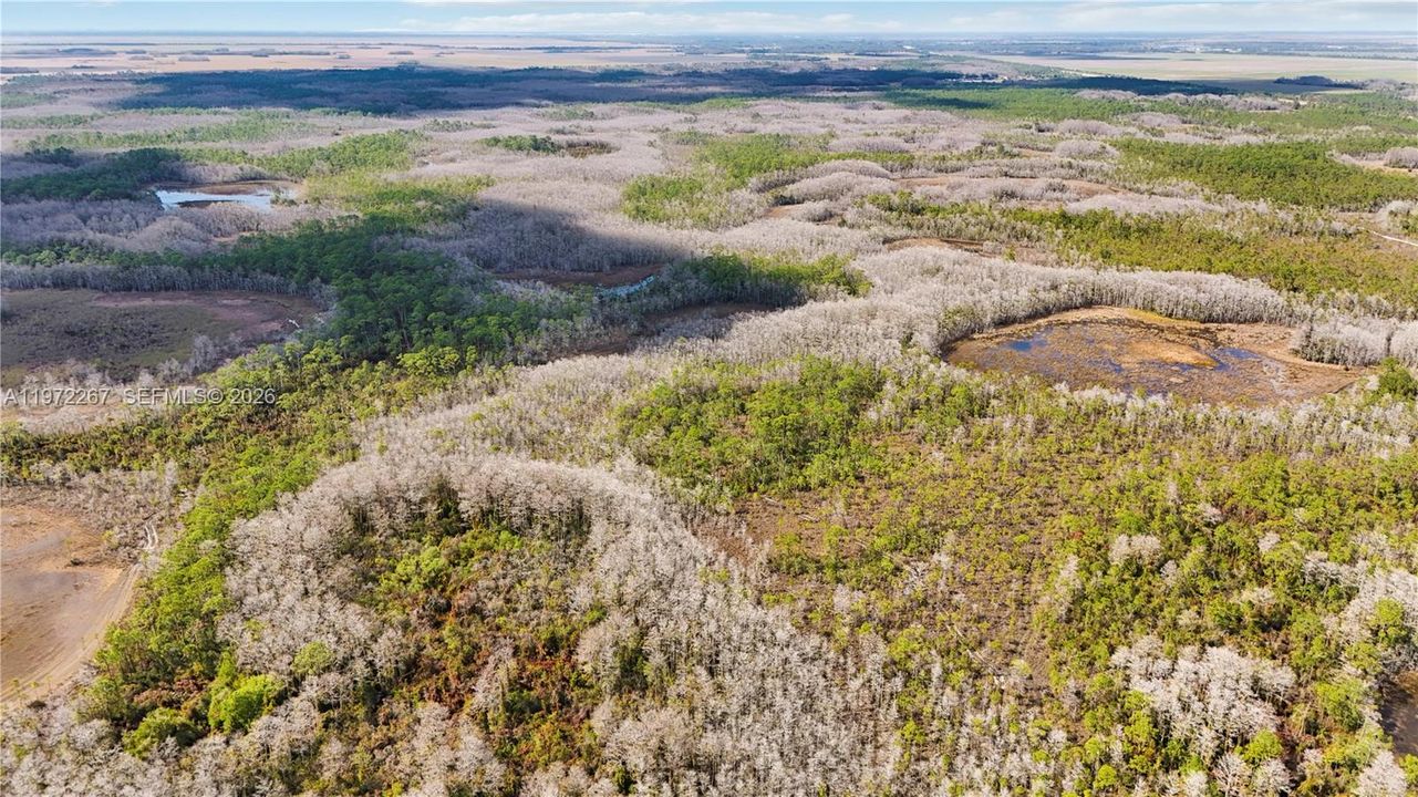 На продажу: $9,000,000 (1,004.00 acres)