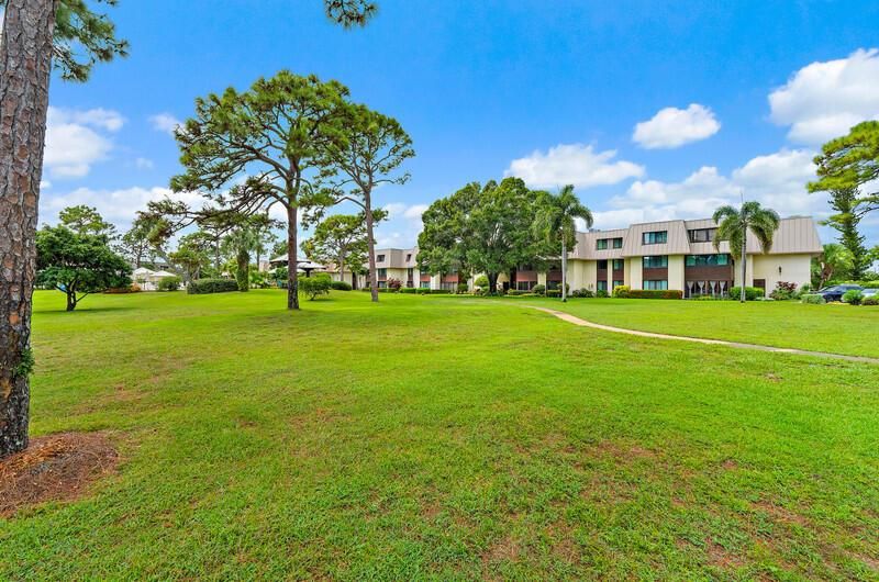 bldg 7 lawn
