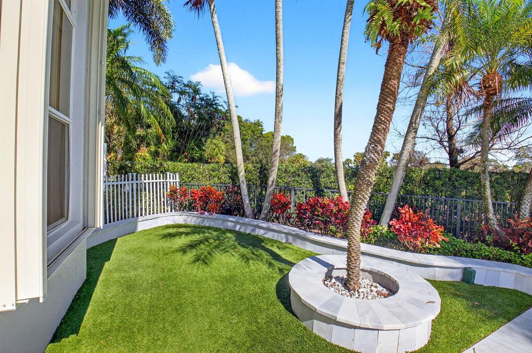 back yard