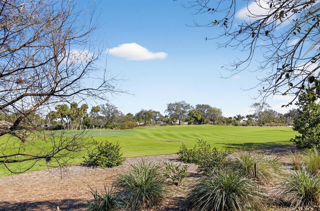 golf course view