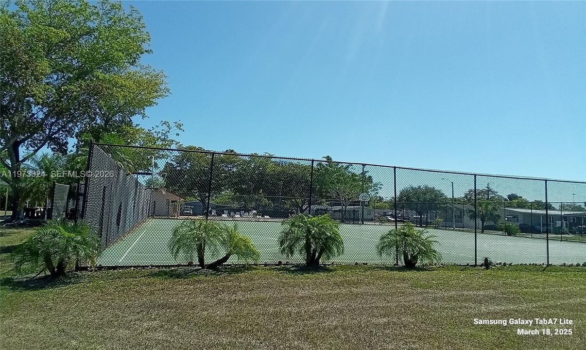 Basketball Court