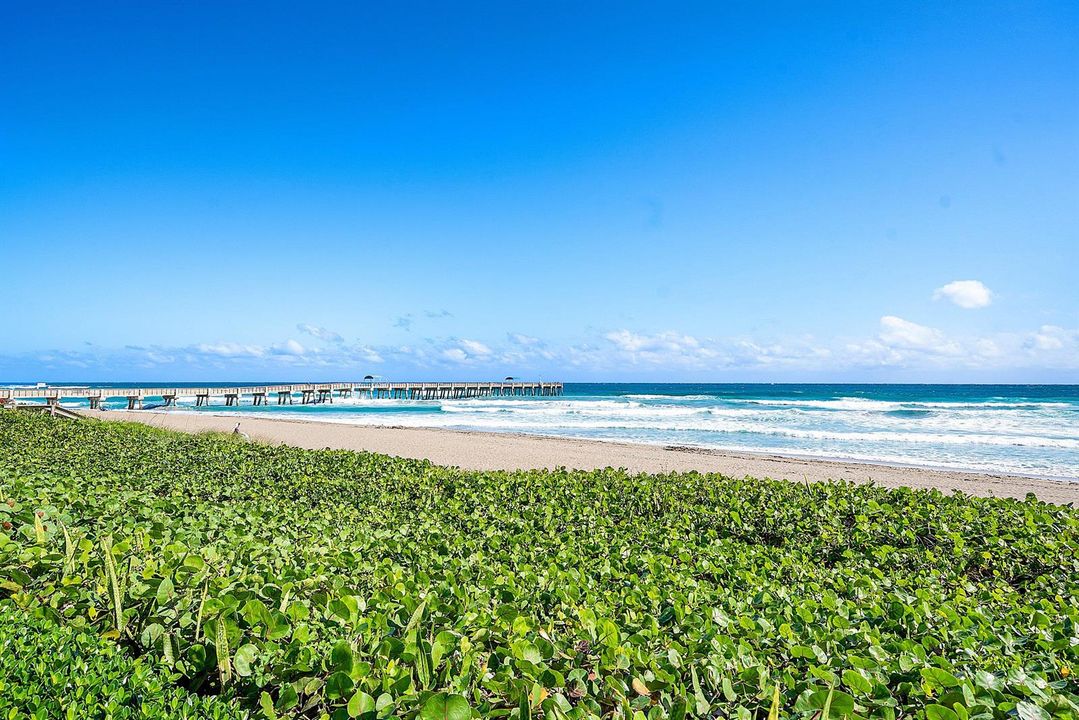 042-3000SouthOceanBoulevard-PalmBeach-FL