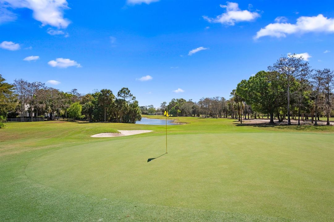 Daytime View Of Green