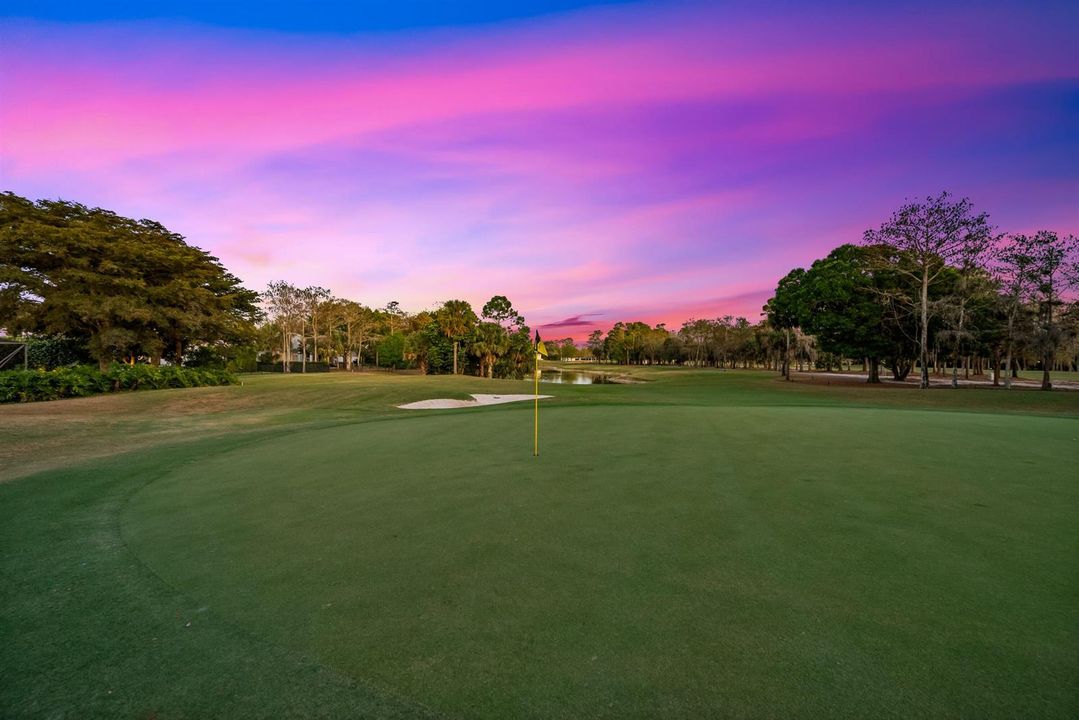 13th Green Behind Home