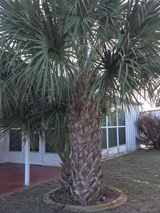 right side of fl room