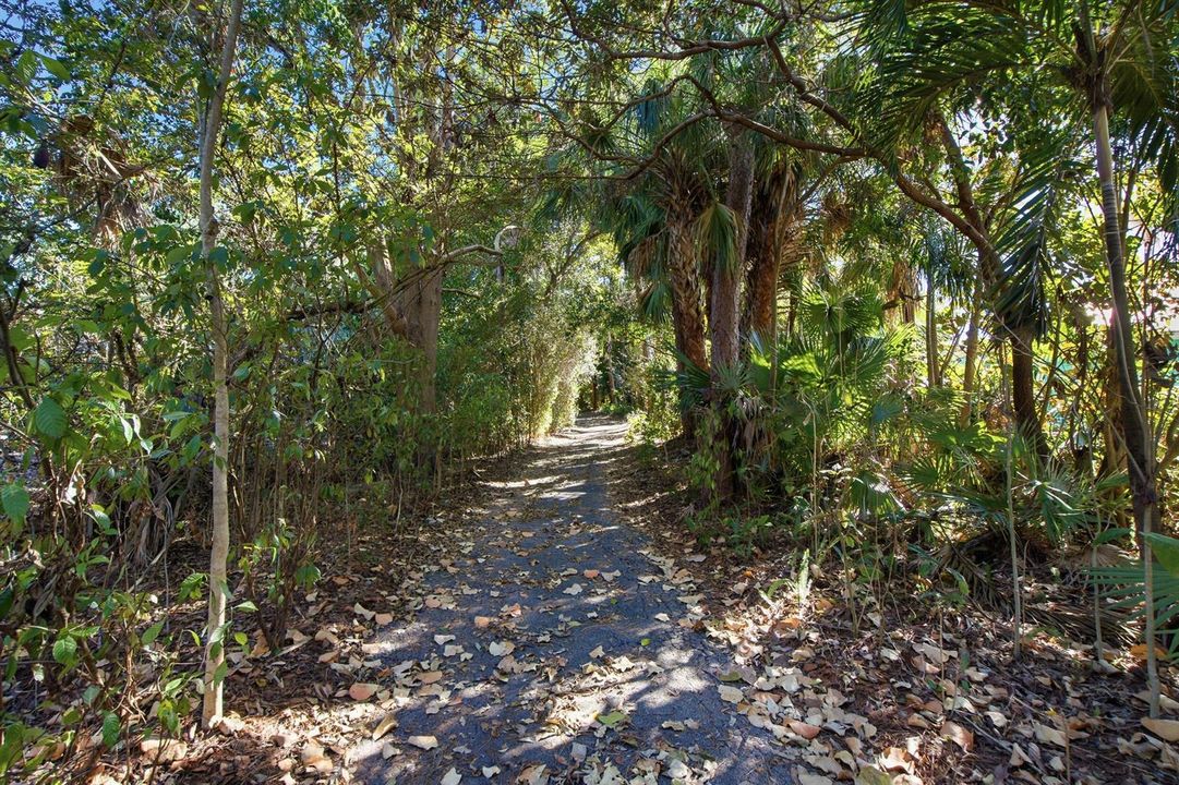 Driveway
