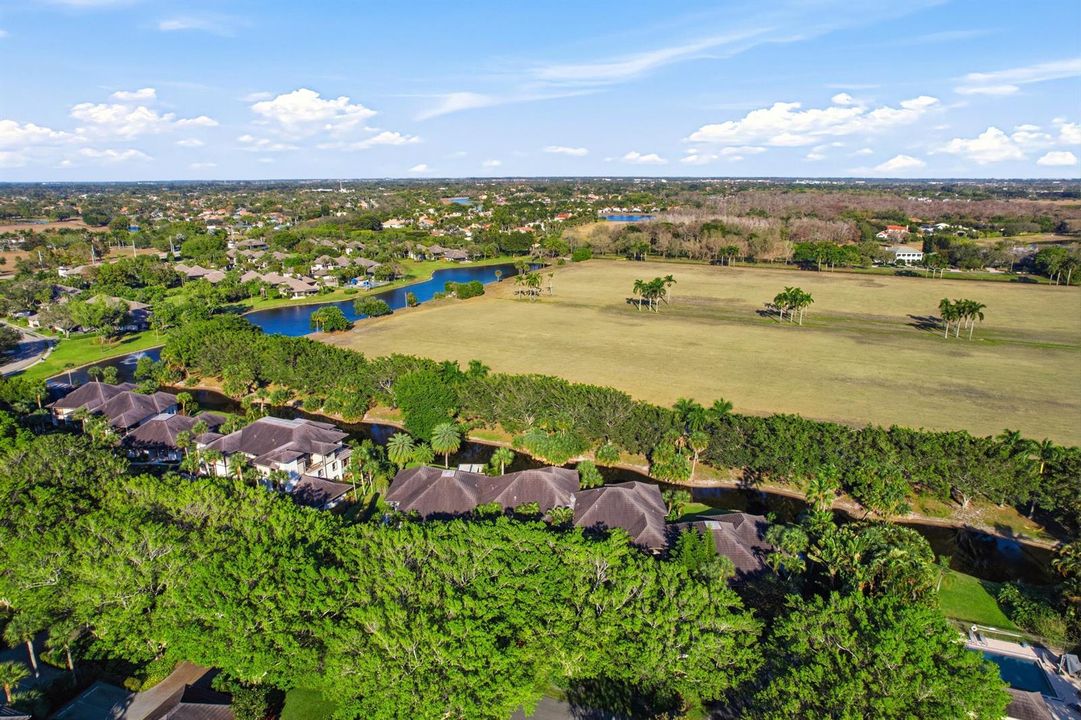 DJI_0812_grass_9ad58b06-a142-438e-9ede-5