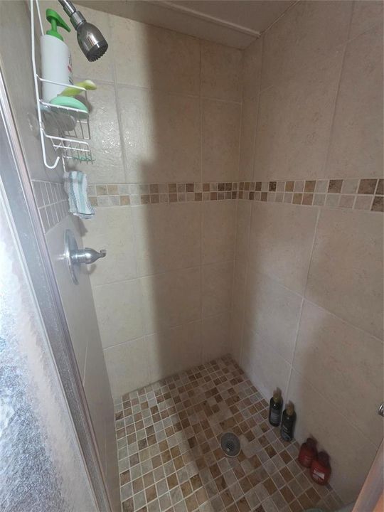 Walk-in Tiled Shower