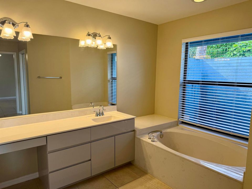 Primary Bath Vanity & Tub