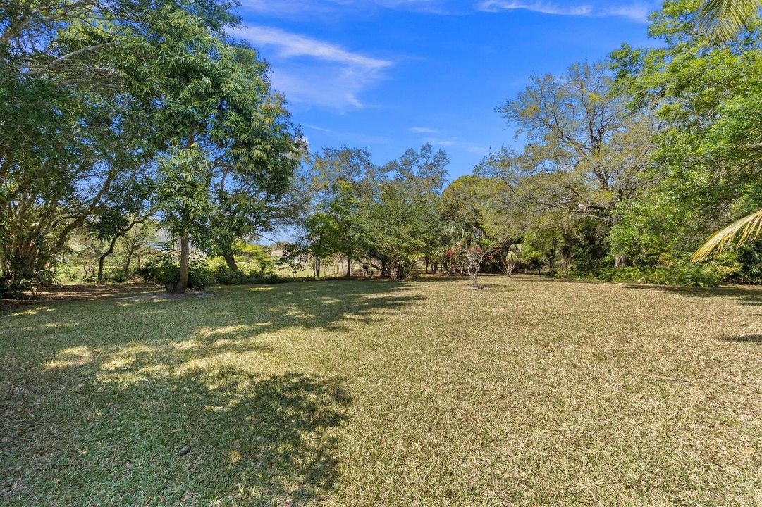 31-web-or-mls-DSC01890