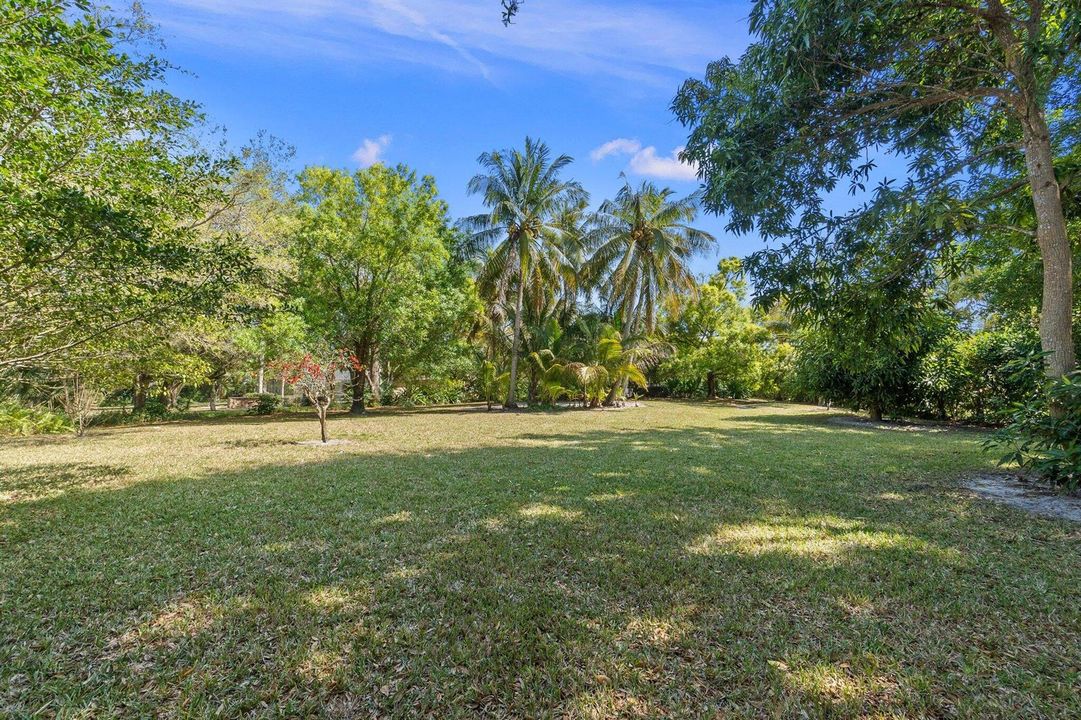 36-web-or-mls-DSC01922
