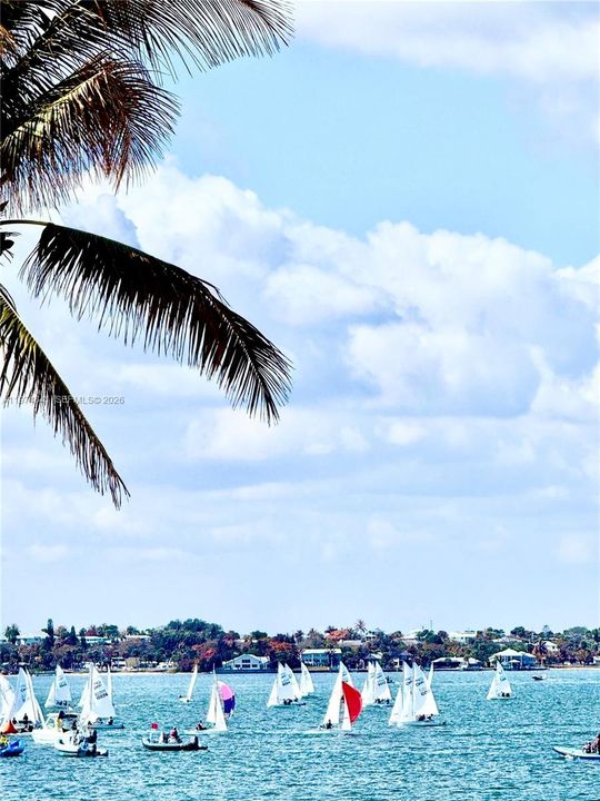 Yearly Regatta