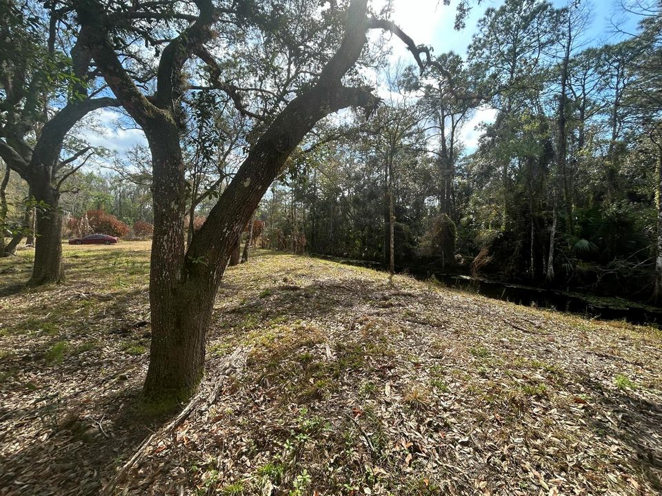 For Sale: $150,000 (2.88 acres)