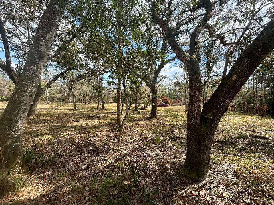 For Sale: $150,000 (2.88 acres)