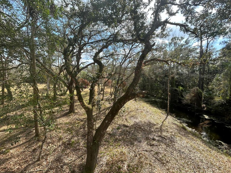 For Sale: $150,000 (2.88 acres)