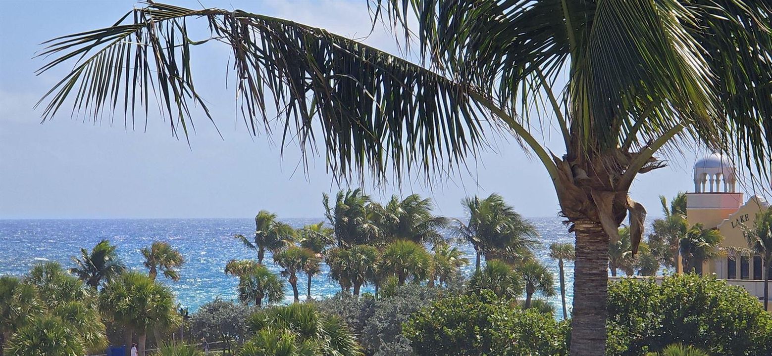LA PALMA 514