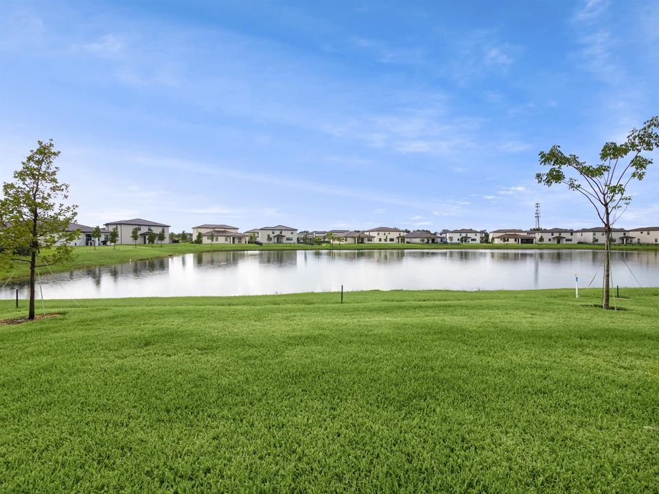 Backyard View