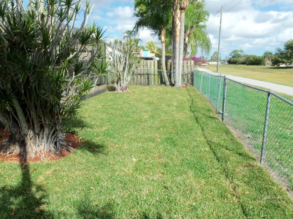 Fenced back yard