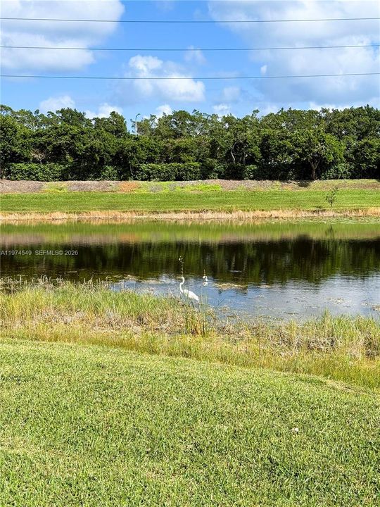For Rent: $15,000 (7 beds, 4 baths, 3933 Square Feet)