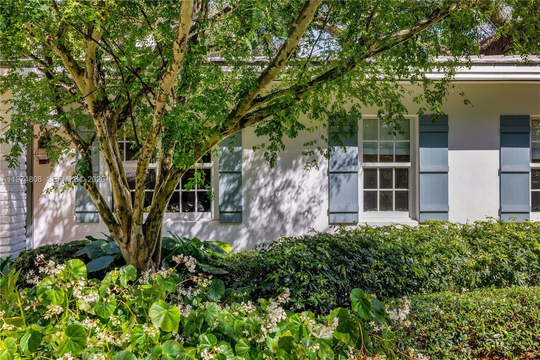 More foliage surrounds the property.