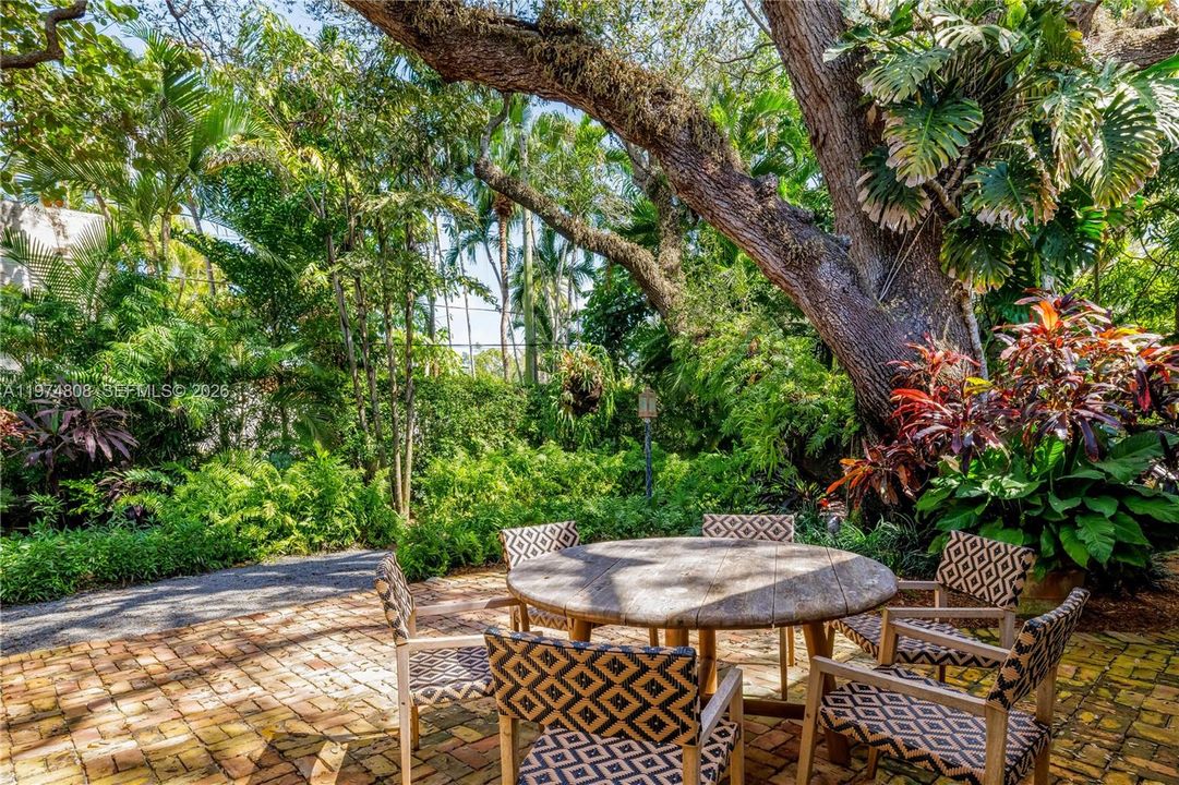 Grove-style foliage envelops this backyard, offering ample outdoor entertaining spaces.