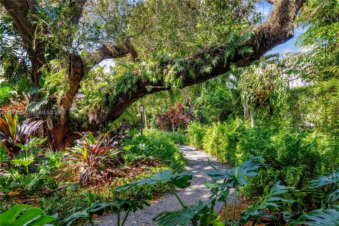 Lose yourself in nature and serenity.