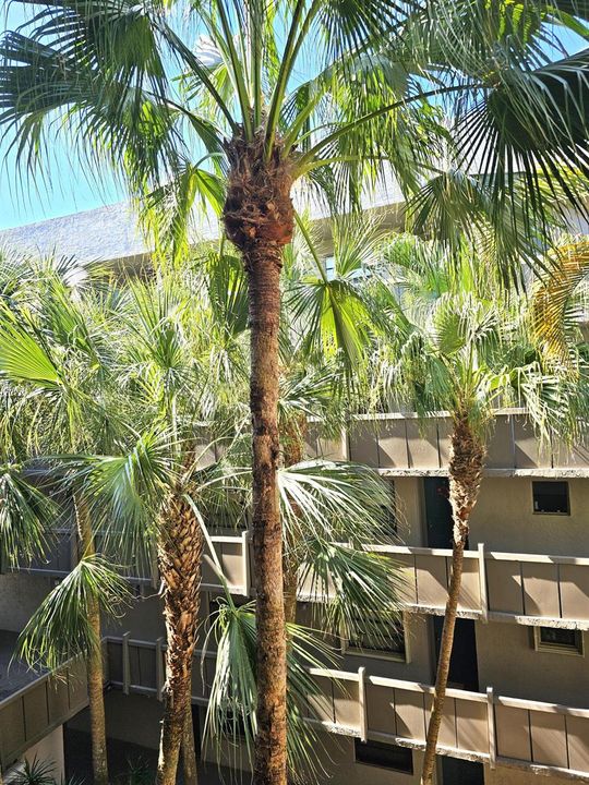 Garden View on 4th FL 1