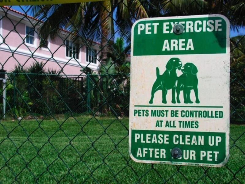 DOG RUN