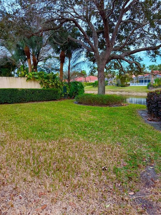 Backyard/Lake View