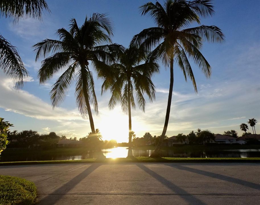 29 Sunset