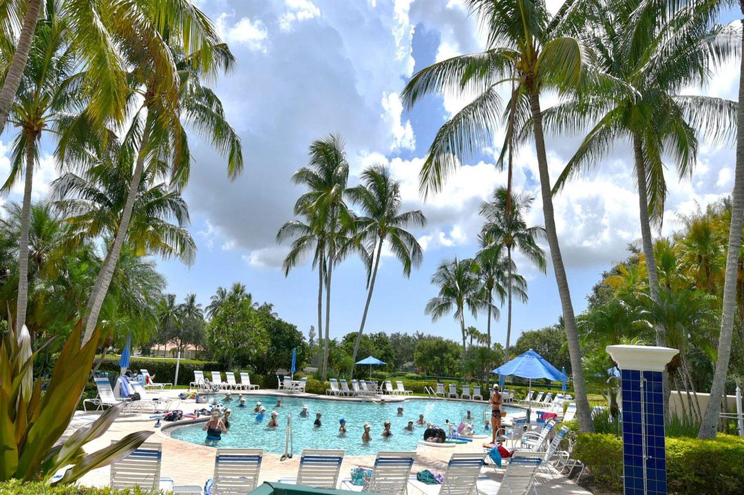 4 Resort pool