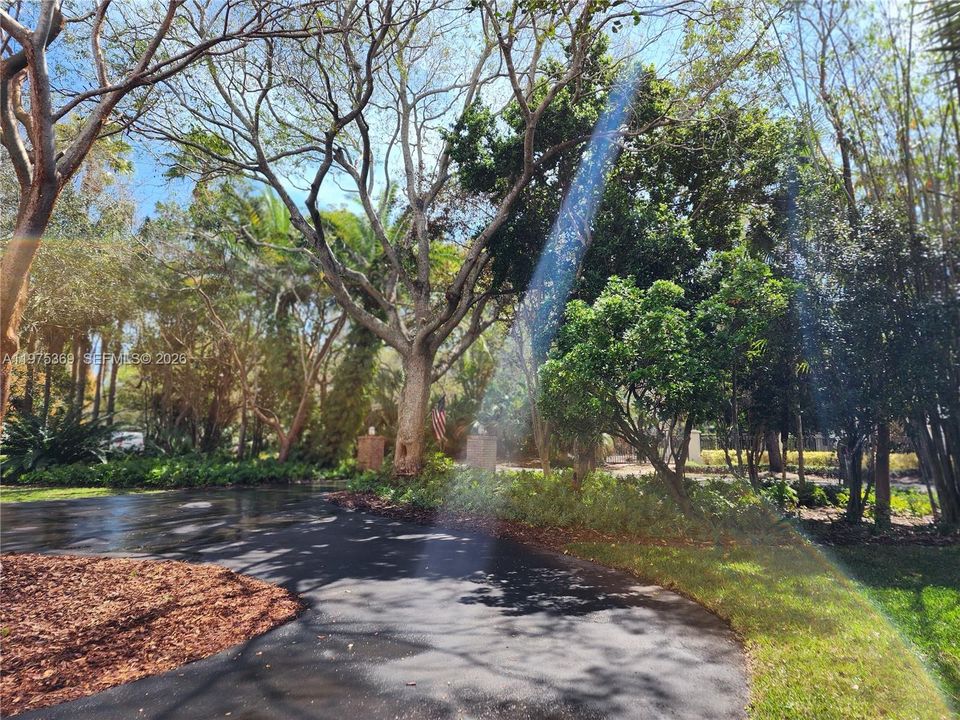 Landscaping in Front of Property