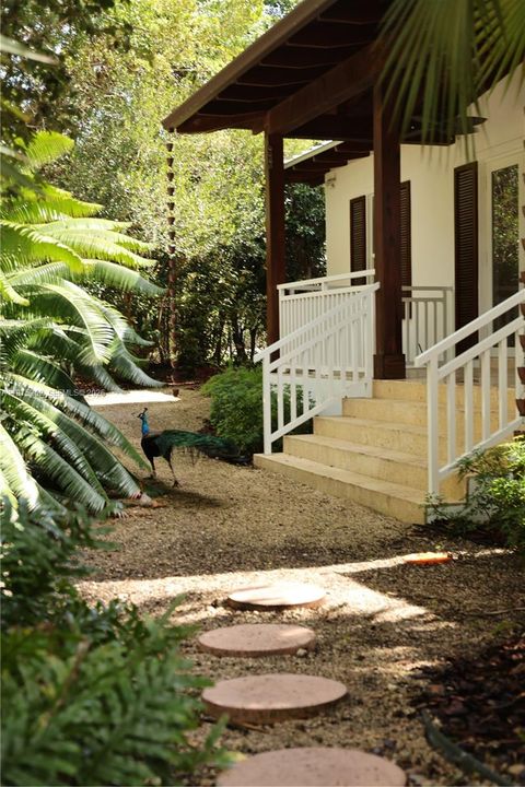 Path to Guest House and Porch