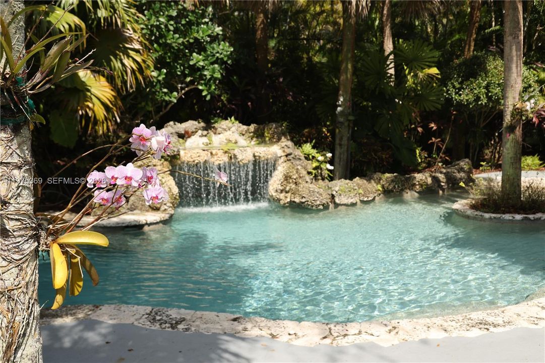 Waterfall with Blooming Orchids
