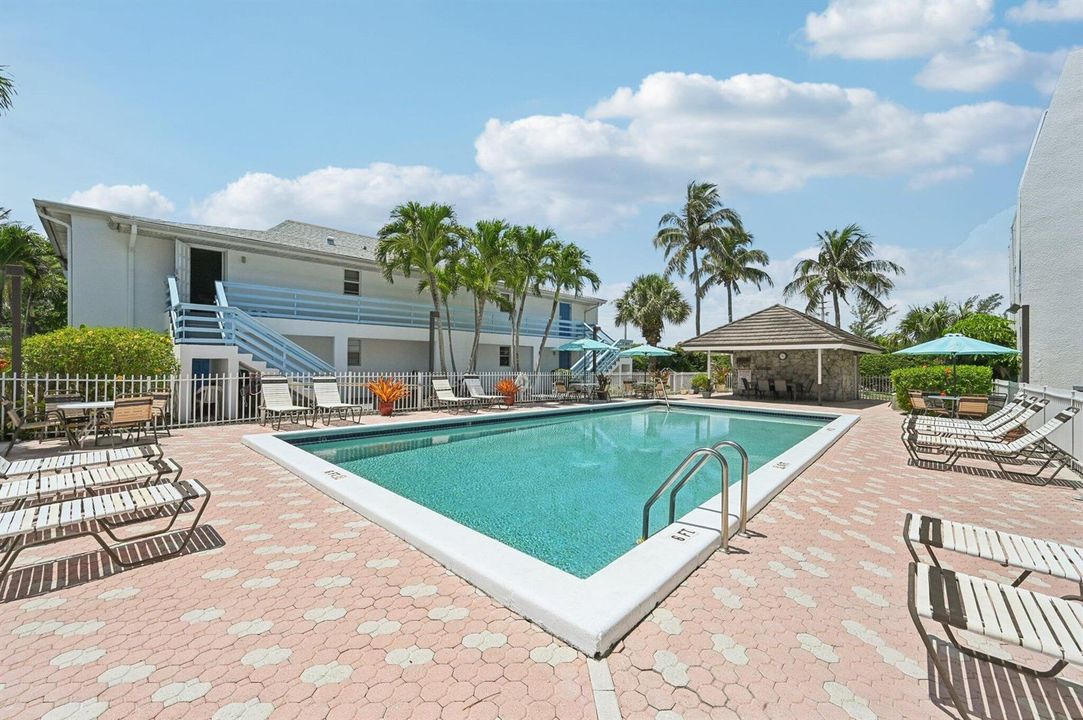 Pool deck under palm trees