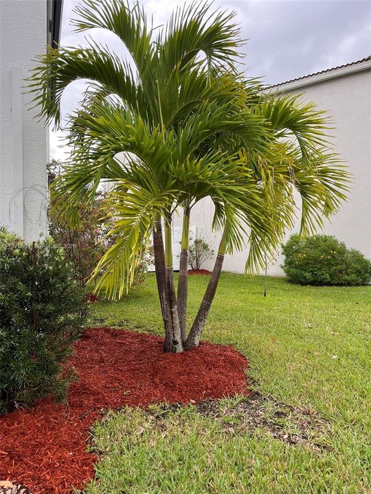 Recently Sold: $929,000 (4 beds, 2 baths, 2223 Square Feet)