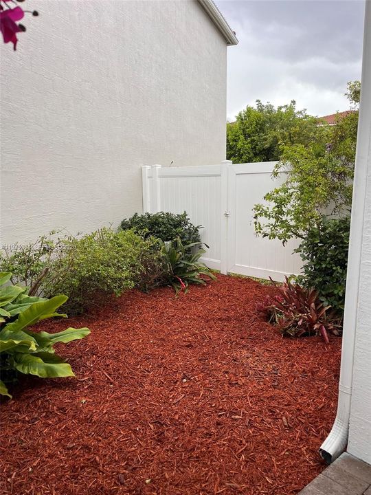 Front Yard Left of house