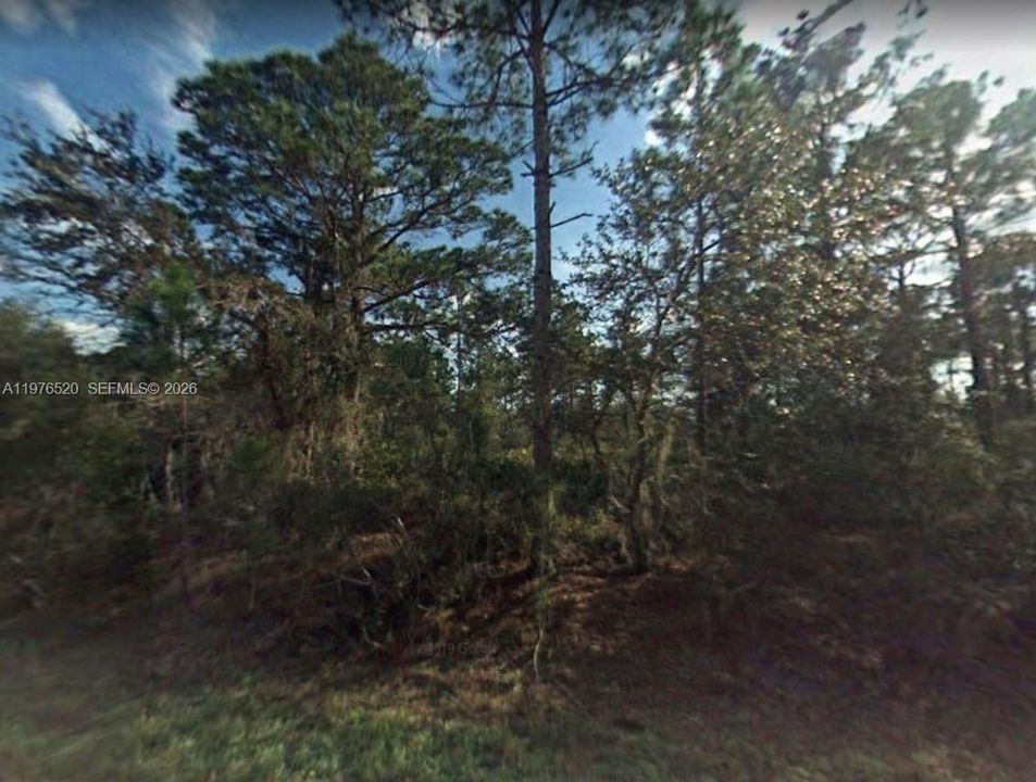 For Sale: $10,900 (0.24 acres)