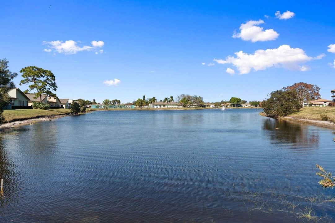 13-web-or-mls-DSC05747