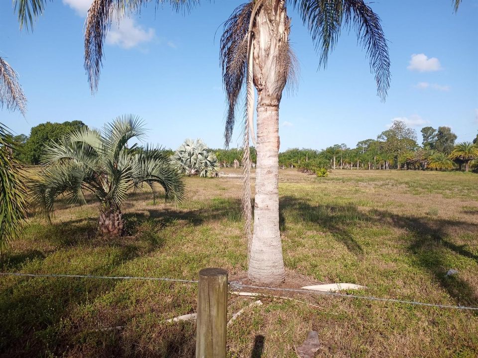 beyc69b4382daff81