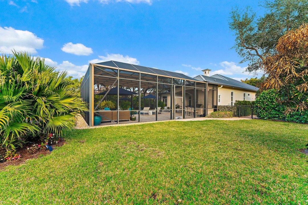 Rear View From Yard