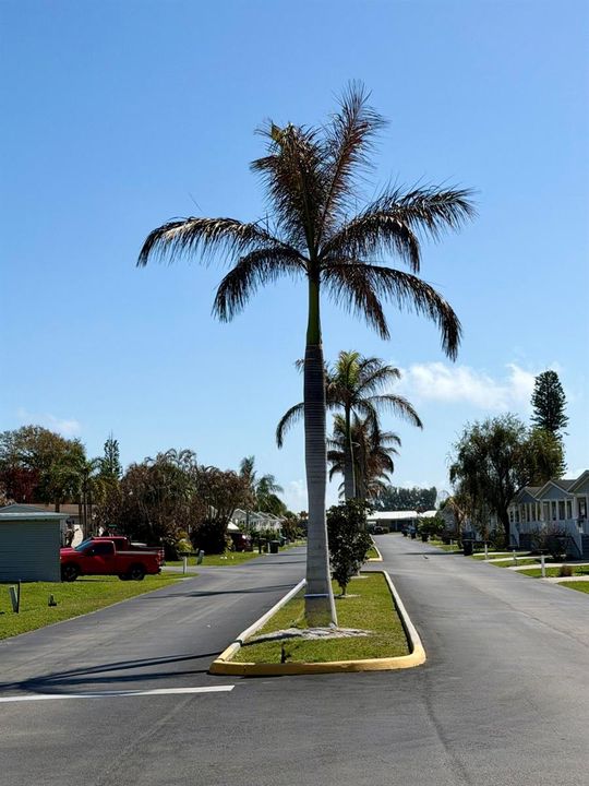 Sandhill Blvd