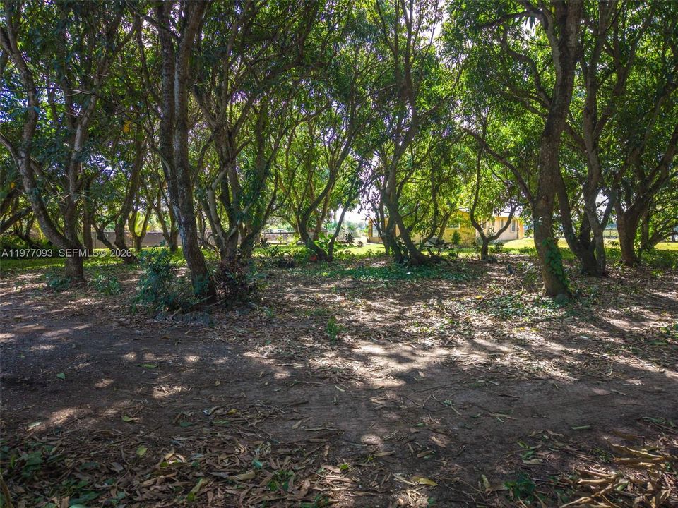 Vendido Recientemente: $750,000 (2 camas, 2 baños, 1305 Pies cuadrados)