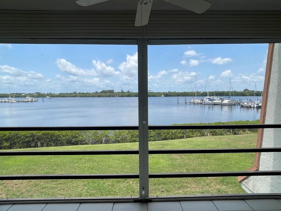 Patio View
